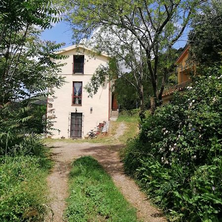 Seùlo Ferula Romantica Mansarda Tra Fiumi E Montagne Sardegna מראה חיצוני תמונה