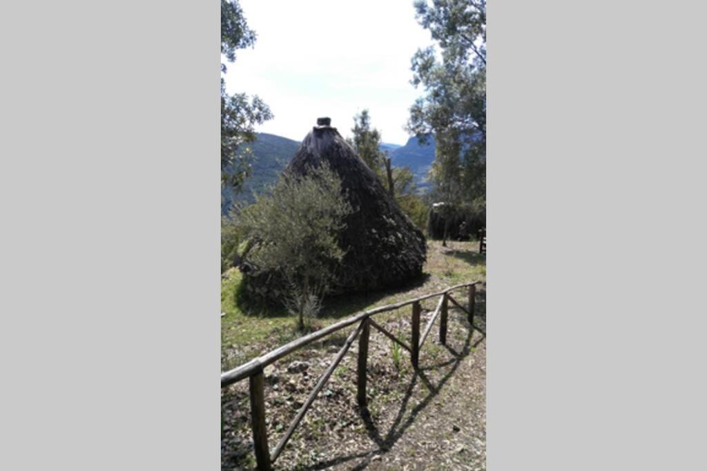 Seùlo Ferula Romantica Mansarda Tra Fiumi E Montagne Sardegna מראה חיצוני תמונה