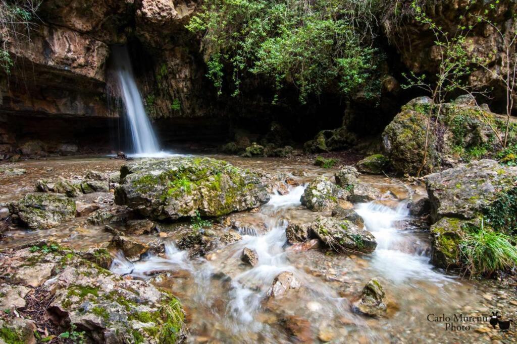 Seùlo Ferula Romantica Mansarda Tra Fiumi E Montagne Sardegna מראה חיצוני תמונה