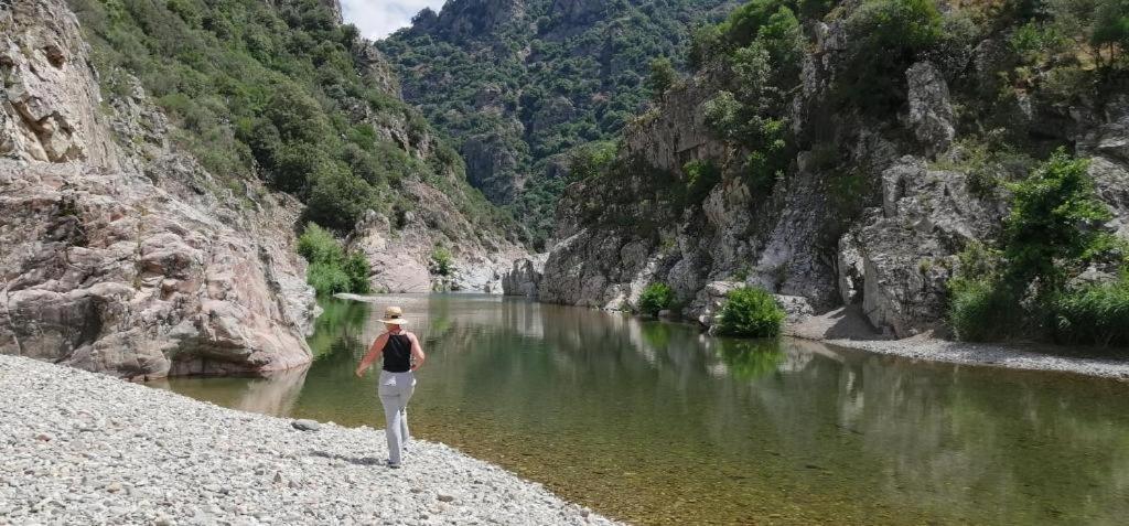 Seùlo Ferula Romantica Mansarda Tra Fiumi E Montagne Sardegna מראה חיצוני תמונה